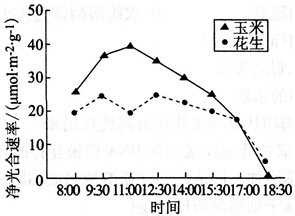 中学教师招聘,历年真题,2016年教师招聘考试《中学生物》真题精选4