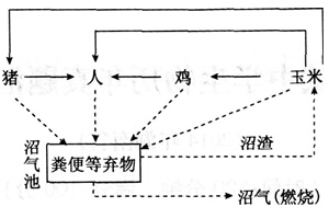 中学教师招聘,历年真题,2016年教师招聘考试《中学生物》真题精选4