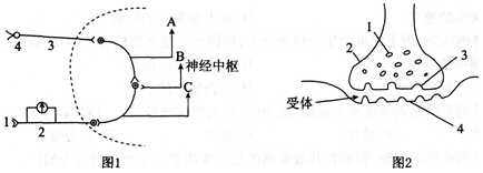 中学教师招聘,历年真题,2016年教师招聘考试《中学生物》真题精选4