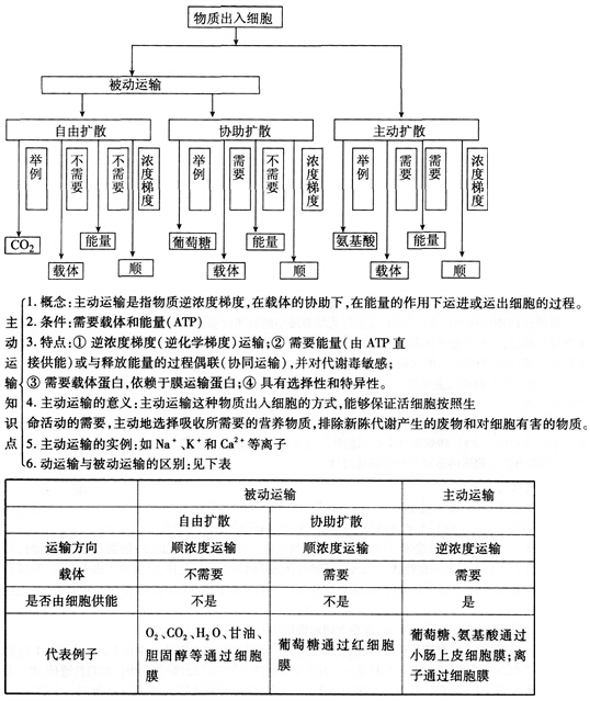 中学教师招聘,章节练习,学科真题0