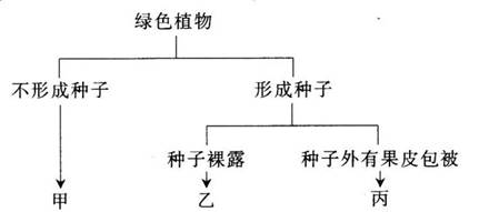 中学教师招聘,历年真题,2017年教师招聘考试《中学生物》真题精选3