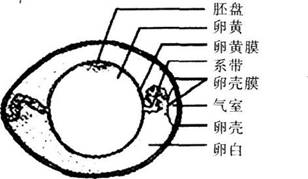 中学教师招聘,章节练习,学科真题0