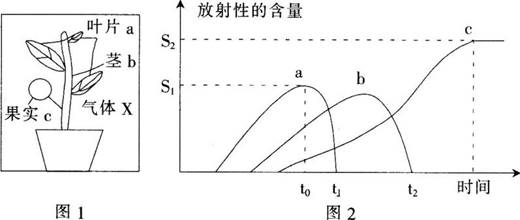 中学教师招聘,历年真题,2018年教师招聘考试《中学生物》真题精选