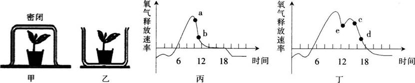 中学教师招聘,历年真题,2018年教师招聘考试《中学生物》真题精选