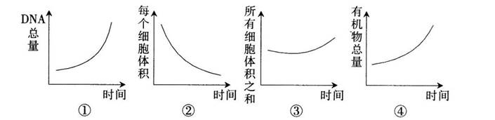 中学教师招聘,历年真题,2018年教师招聘考试《中学生物》真题精选