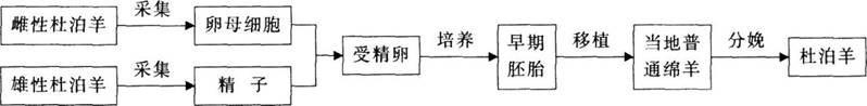 中学教师招聘,历年真题,2017年教师招聘考试《中学生物》真题精选1