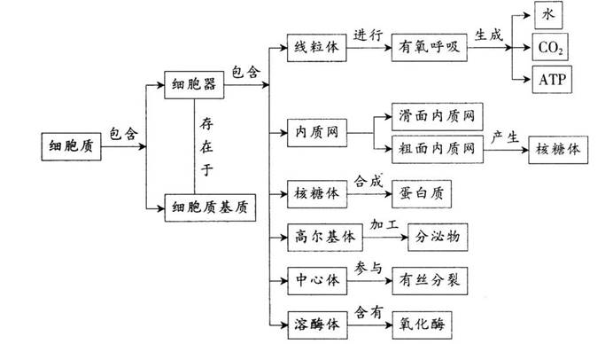 中学教师招聘,历年真题,2017年教师招聘考试《中学生物》真题精选2