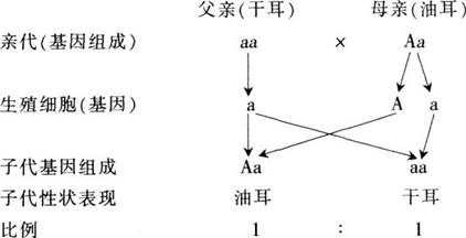 中学教师招聘,章节练习,学科真题0