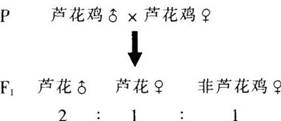 中学教师招聘,历年真题,2017年教师招聘考试《中学生物》真题精选1