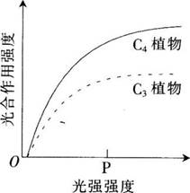 中学教师招聘,历年真题,2017年教师招聘考试《中学生物》真题精选1