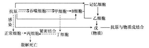 中学教师招聘,押题密卷,2021年教师招聘考试《中学生物》考前押题2