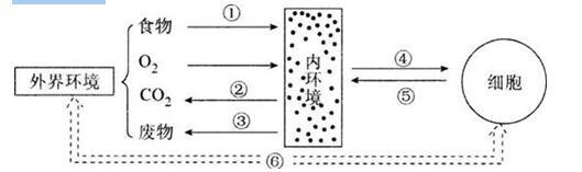 中学教师招聘,押题密卷,2021年教师招聘考试《中学生物》考前押题2