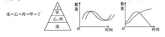 中学教师招聘,押题密卷,2021年教师招聘考试《中学生物》考前押题1