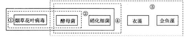 中学教师招聘,押题密卷,2021年教师招聘考试《中学生物》考前押题1