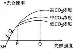 中学教师招聘,押题密卷,2021年教师招聘考试《中学生物》考前押题1