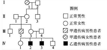 中学教师招聘,押题密卷,2021年教师招聘考试《中学生物》考前押题1