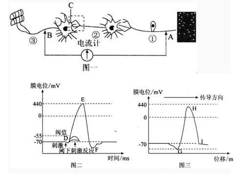 中学教师招聘,押题密卷,2021年教师招聘考试《中学生物》考前押题1