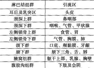 中西医结合执业医师,历年真题,中西医结合执业医师资格考试真题汇总2