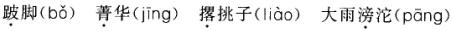 卫生招聘（护理学+临床汇总）,章节练习,基础复习,语文基础知识