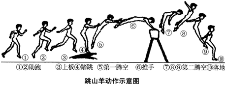 中学体育学科知识与教学能力,章节练习,基础复习,专项训练