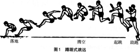 中学体育学科知识与教学能力,章节练习,基础复习,初级中学