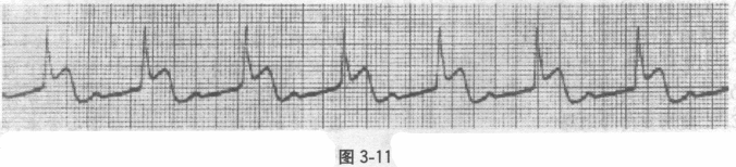 全科医学301,章节练习,内部冲刺,专业知识