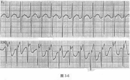 全科医学301,章节练习,内部冲刺,专业知识
