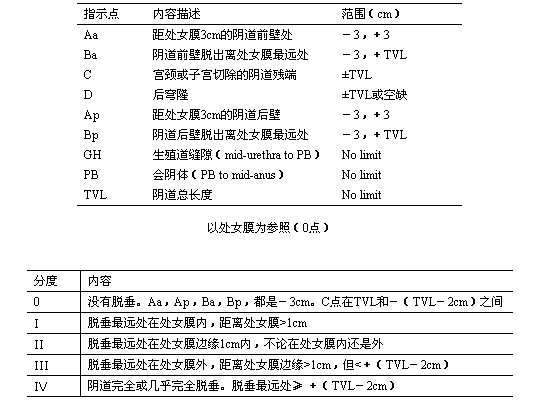 妇产科主治330,章节练习,专业实践能力