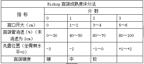 妇产科主治330,章节练习,专业知识