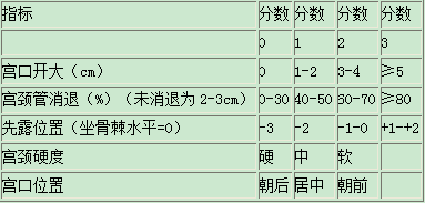 妇产科主治330,章节练习,相关专业知识