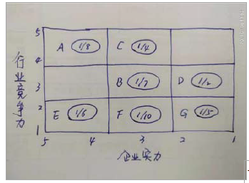 现代咨询方法与实务,章节练习,基础复习,第四章战略分析