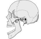 口腔医学353,章节练习,基础复习,口腔颌面外科学