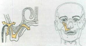 口腔医学353,章节练习,基础复习,口腔颌面外科学