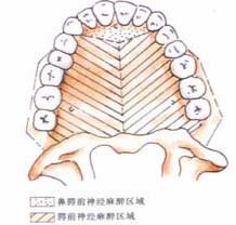 口腔医学353,章节练习,基础复习,口腔颌面外科学