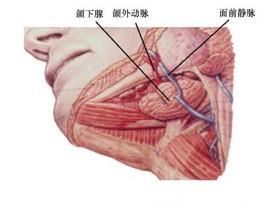 口腔医学353,章节练习,基础复习,口腔颌面外科学