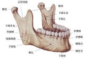 口腔医学353,章节练习,基础复习,口腔颌面外科学