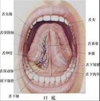 口腔医学353,章节练习,基础复习,口腔颌面外科学