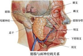 口腔医学353,章节练习,基础复习,口腔颌面外科学