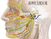 口腔医学353,章节练习,基础复习,口腔颌面外科学