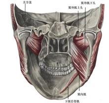 口腔医学353,章节练习,基础复习,口腔颌面外科学
