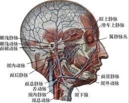 口腔医学353,章节练习,基础复习,口腔颌面外科学