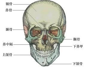 口腔医学353,章节练习,基础复习,口腔颌面外科学