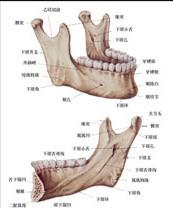 口腔医学353,章节练习,基础复习,口腔颌面外科学