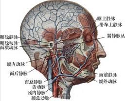 口腔医学353,章节练习,基础复习,口腔颌面外科学