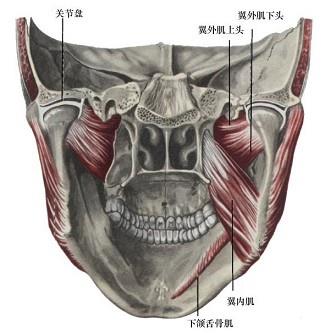 口腔医学353,章节练习,基础复习,口腔颌面外科学 口腔医学353,章节练习,基础复习,口腔颌面外科学