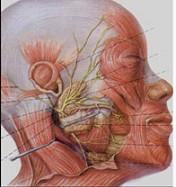 口腔医学353,章节练习,基础复习,口腔颌面外科学