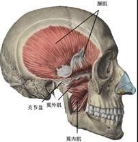 口腔医学353,章节练习,基础复习,口腔颌面外科学