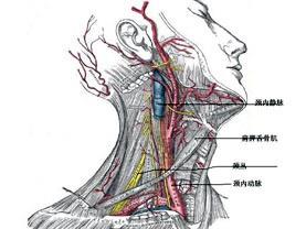 口腔医学353,章节练习,基础复习,口腔颌面外科学 口腔医学353,章节练习,基础复习,口腔颌面外科学