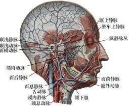 口腔医学353,章节练习,基础复习,口腔颌面外科学