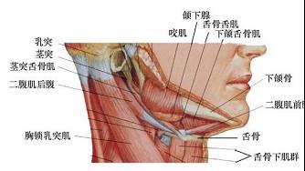 口腔医学353,章节练习,基础复习,口腔颌面外科学